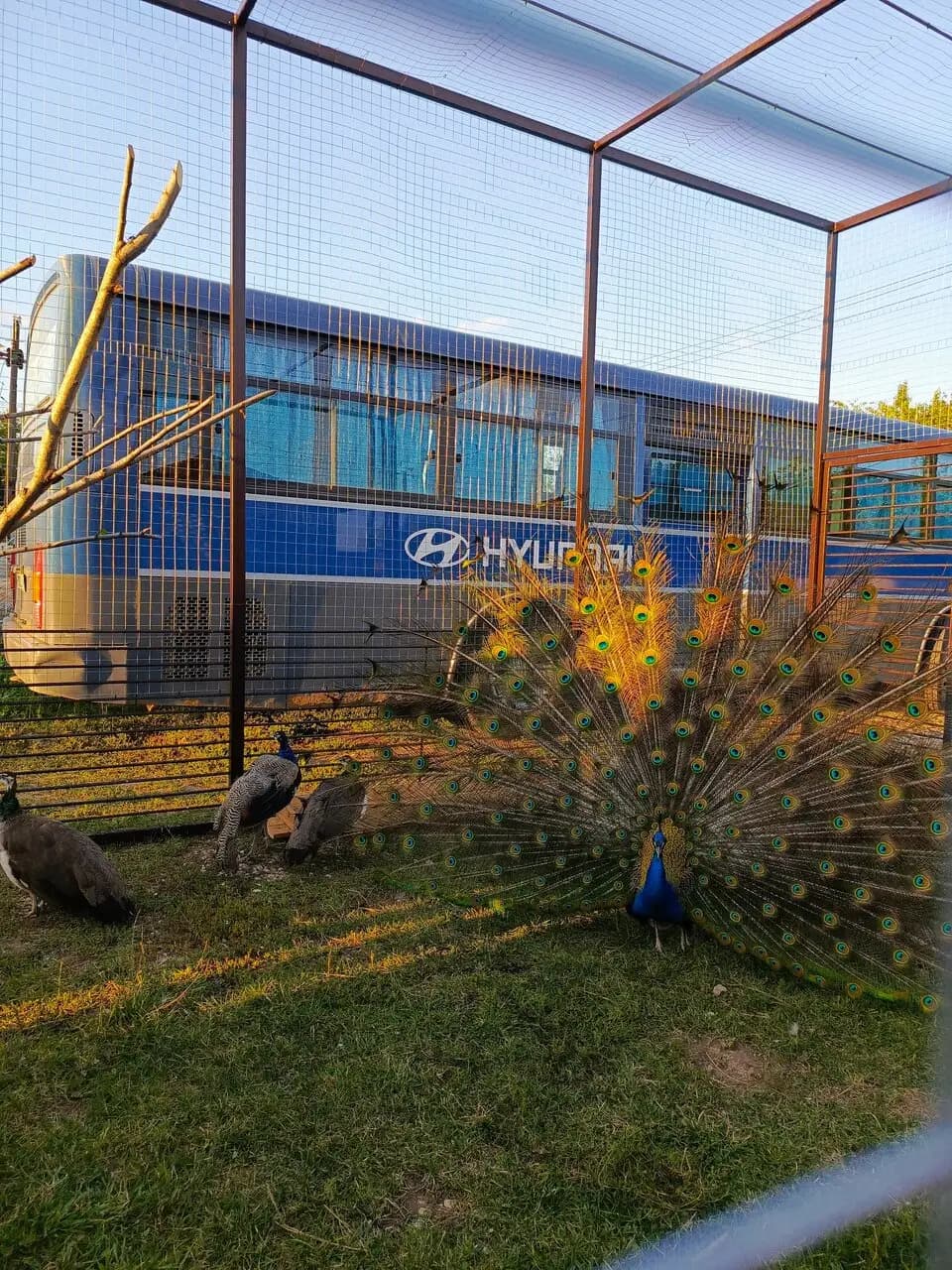 На Семи Ветрах