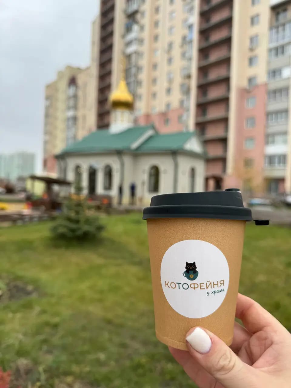 Котофейня у храма