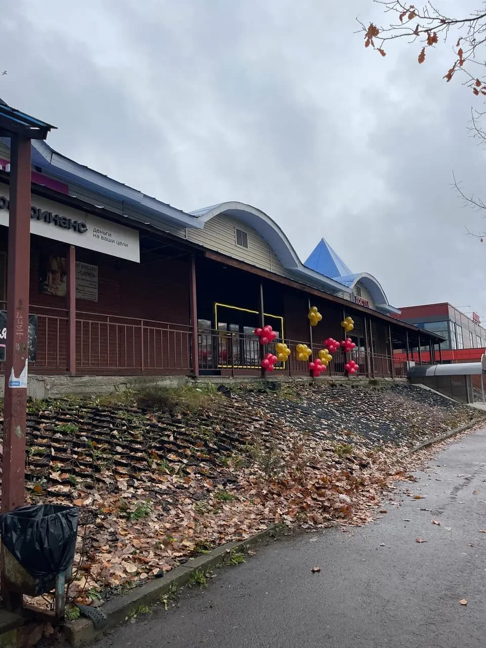 Сыт по горло