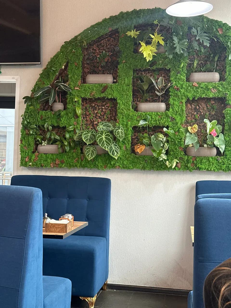 Сели и поели