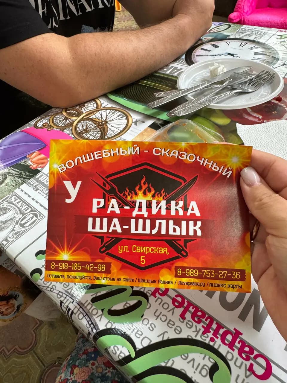 Шашлык у Радика