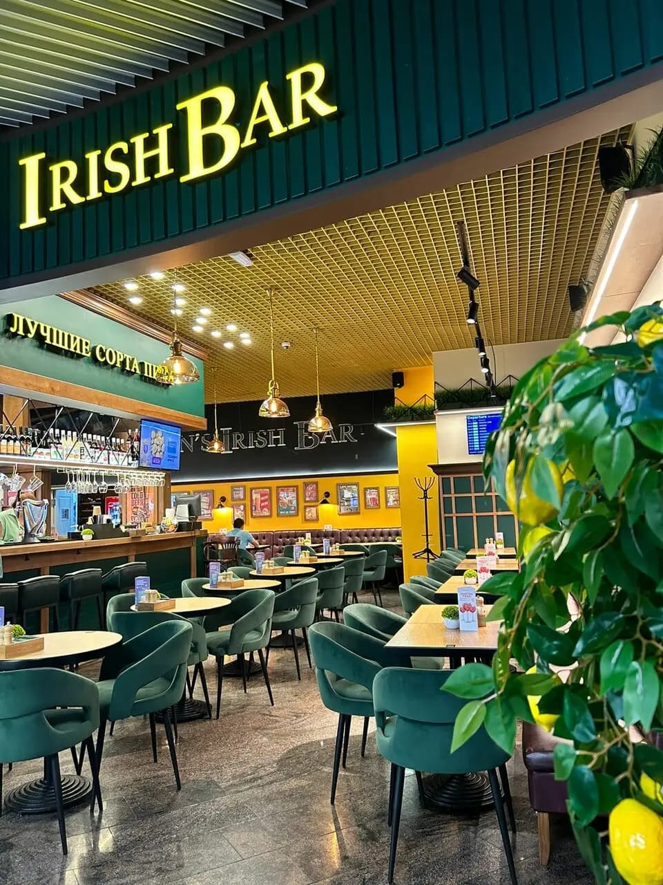 Мясник и море