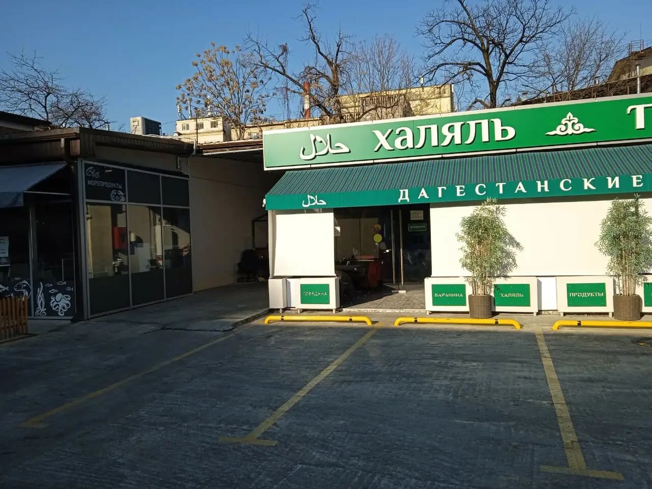 Халяль тандыр мангал