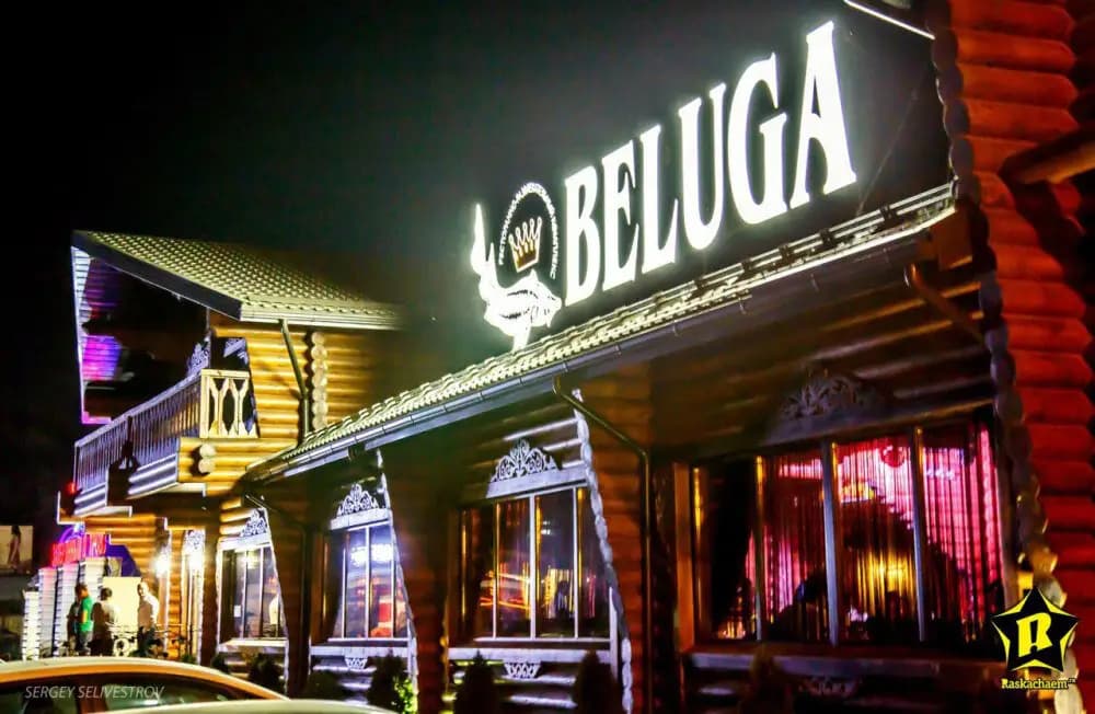 Белуга