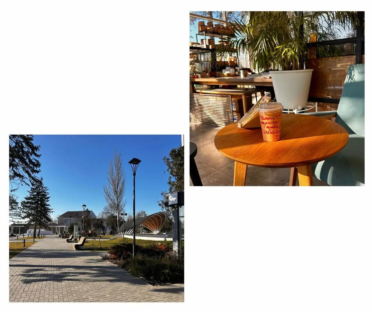 ЛетунКофейня