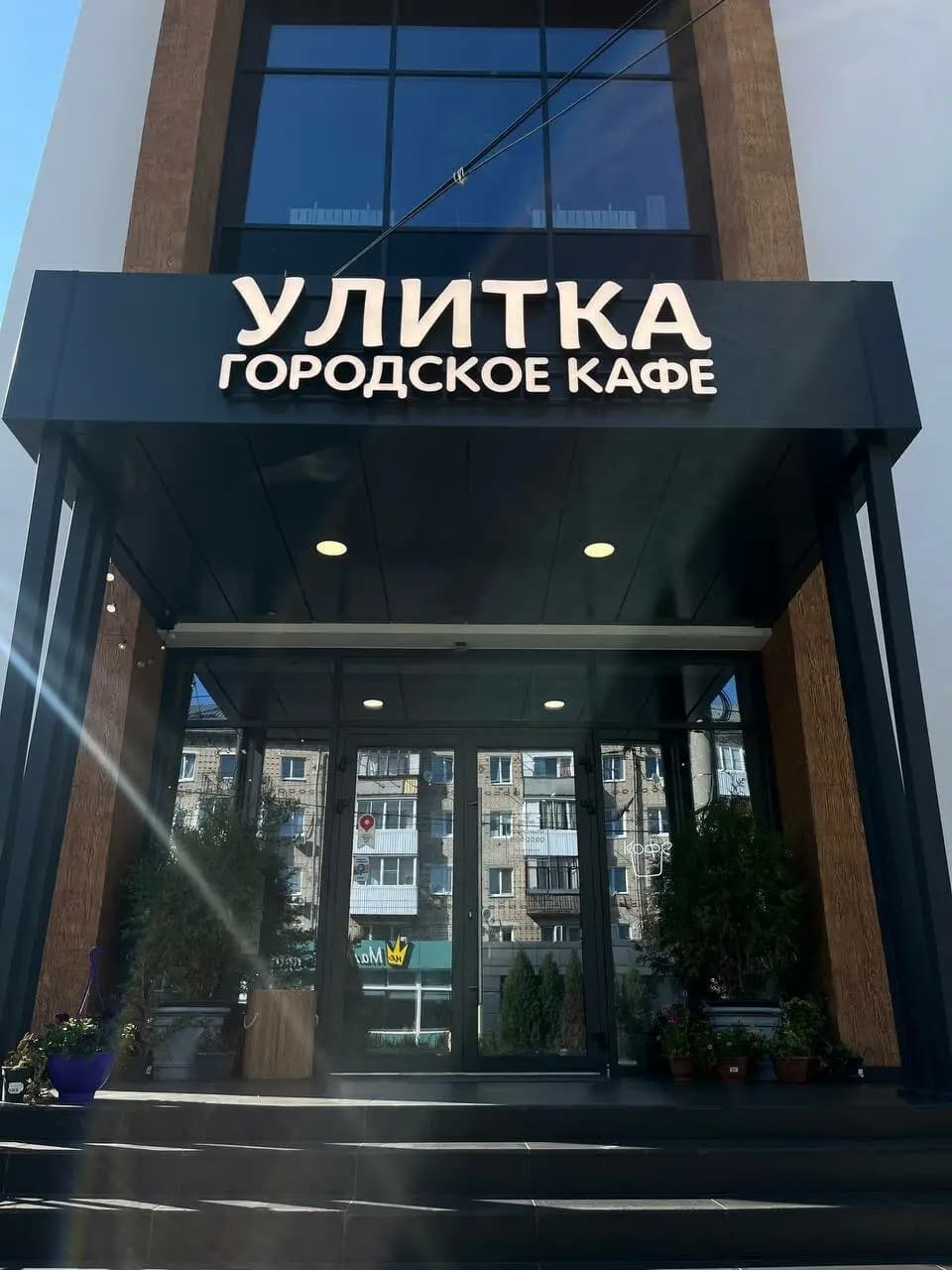 Улитка