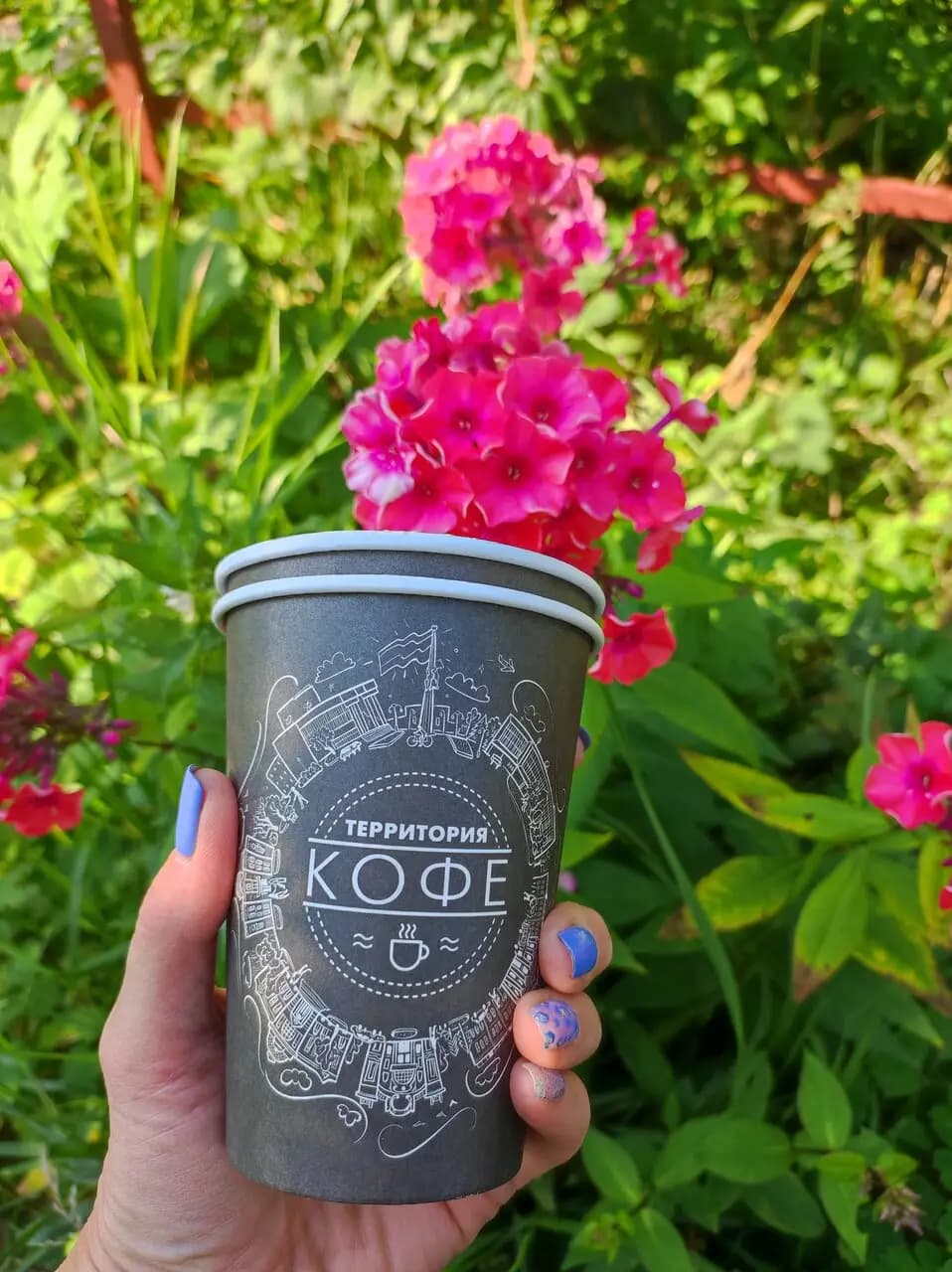 Территория кофе