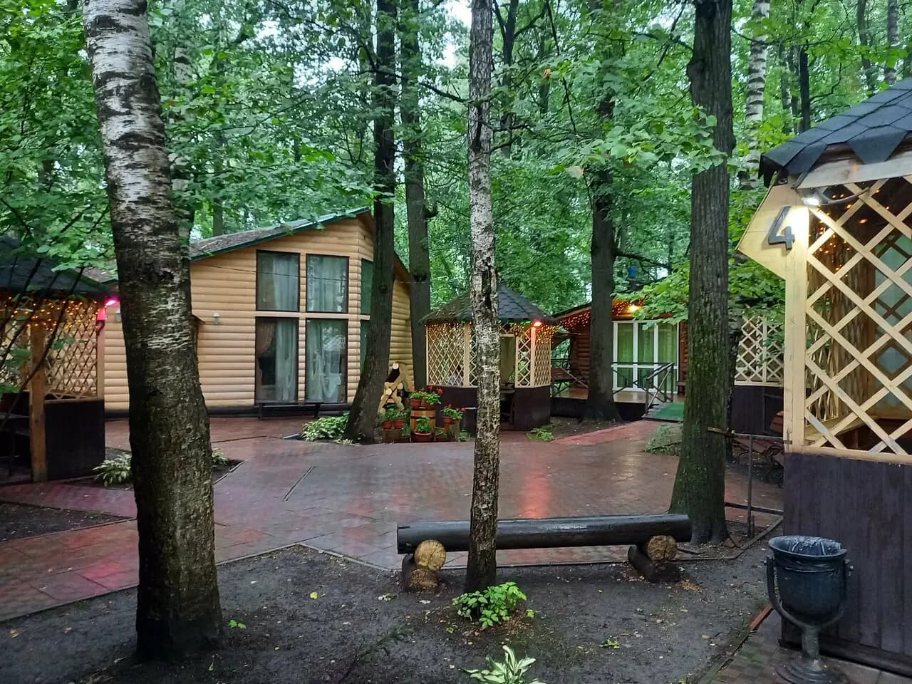 Берёзовая роща