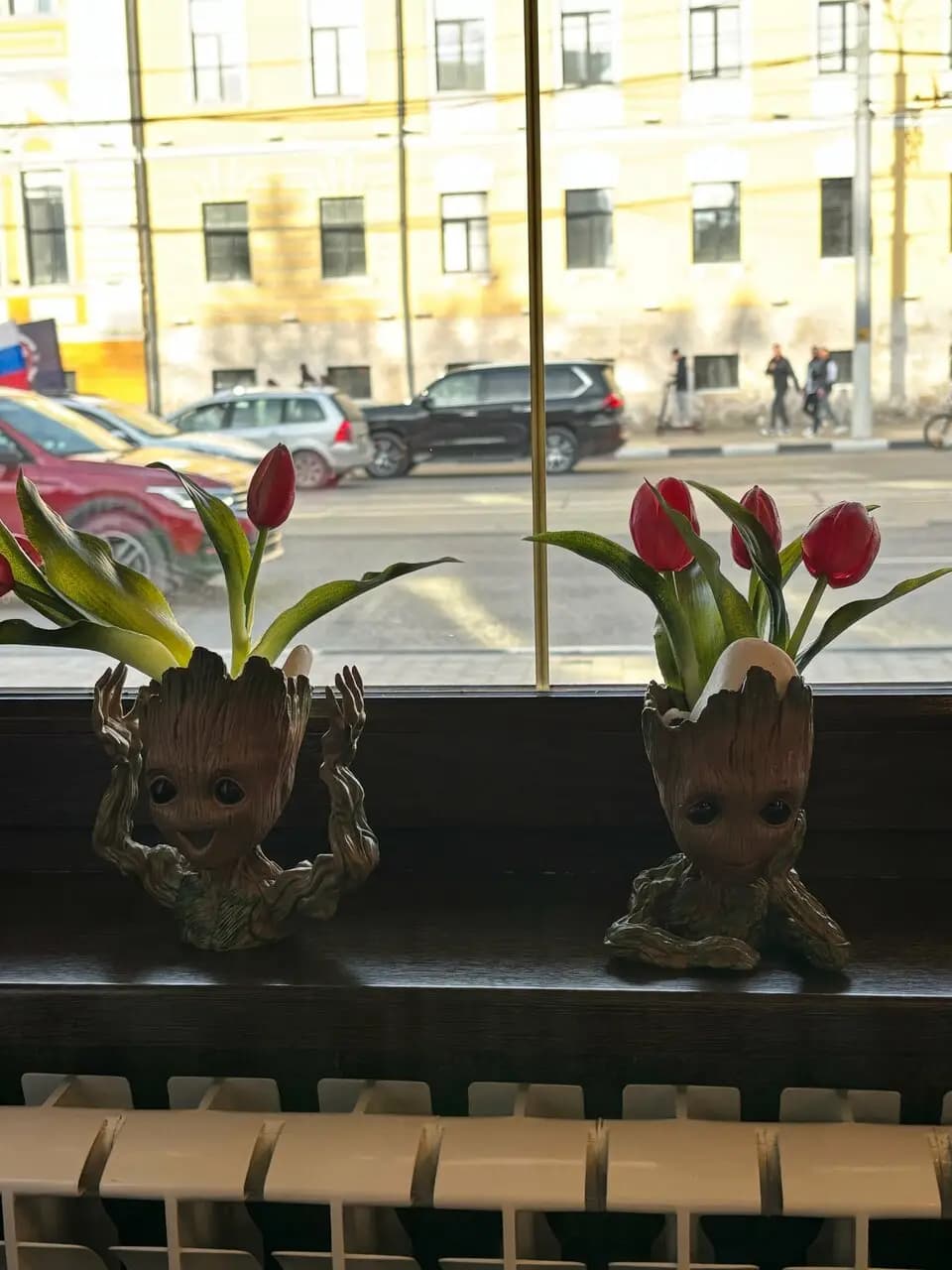 Жадина говядина