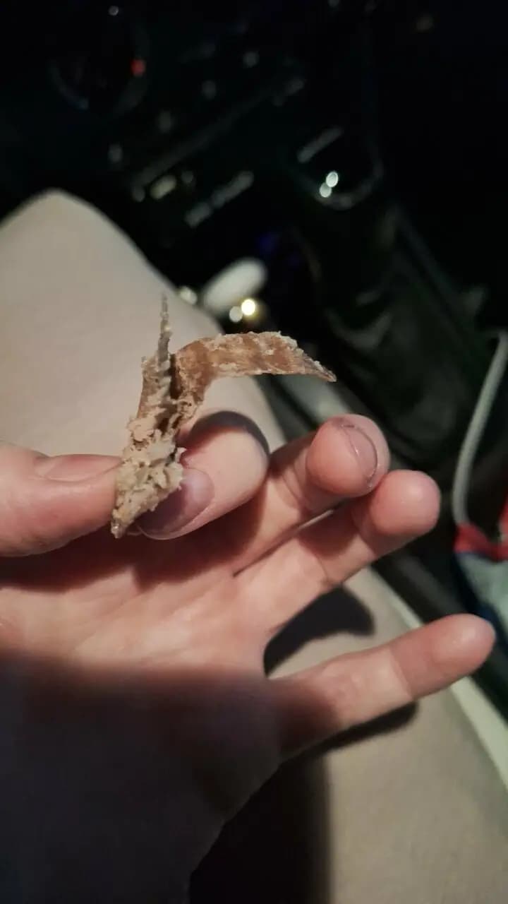 Ташкент Тандыр