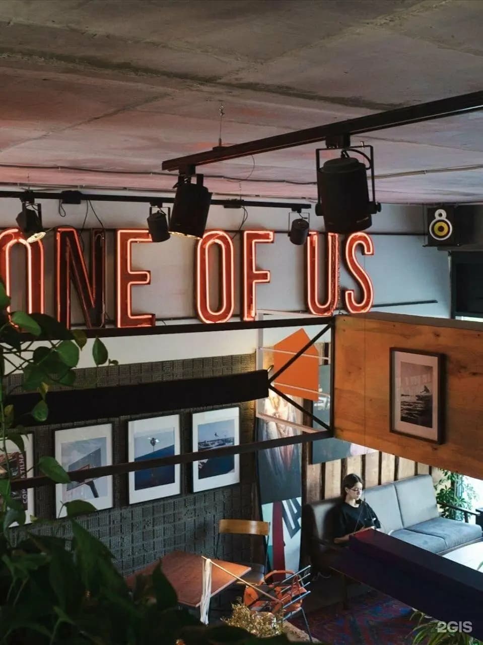 Surf Coffee X Forest