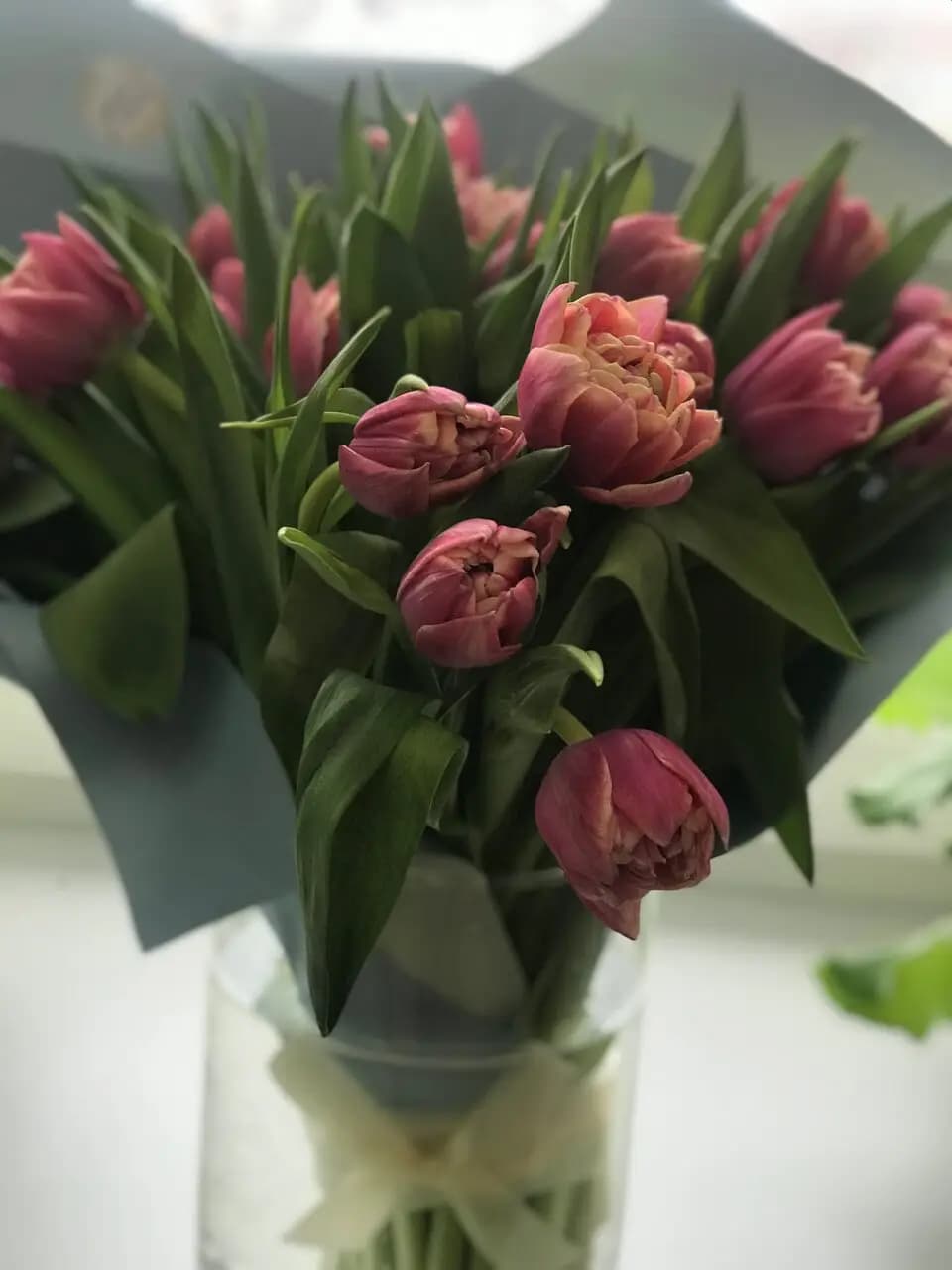 Ресторан Чайка