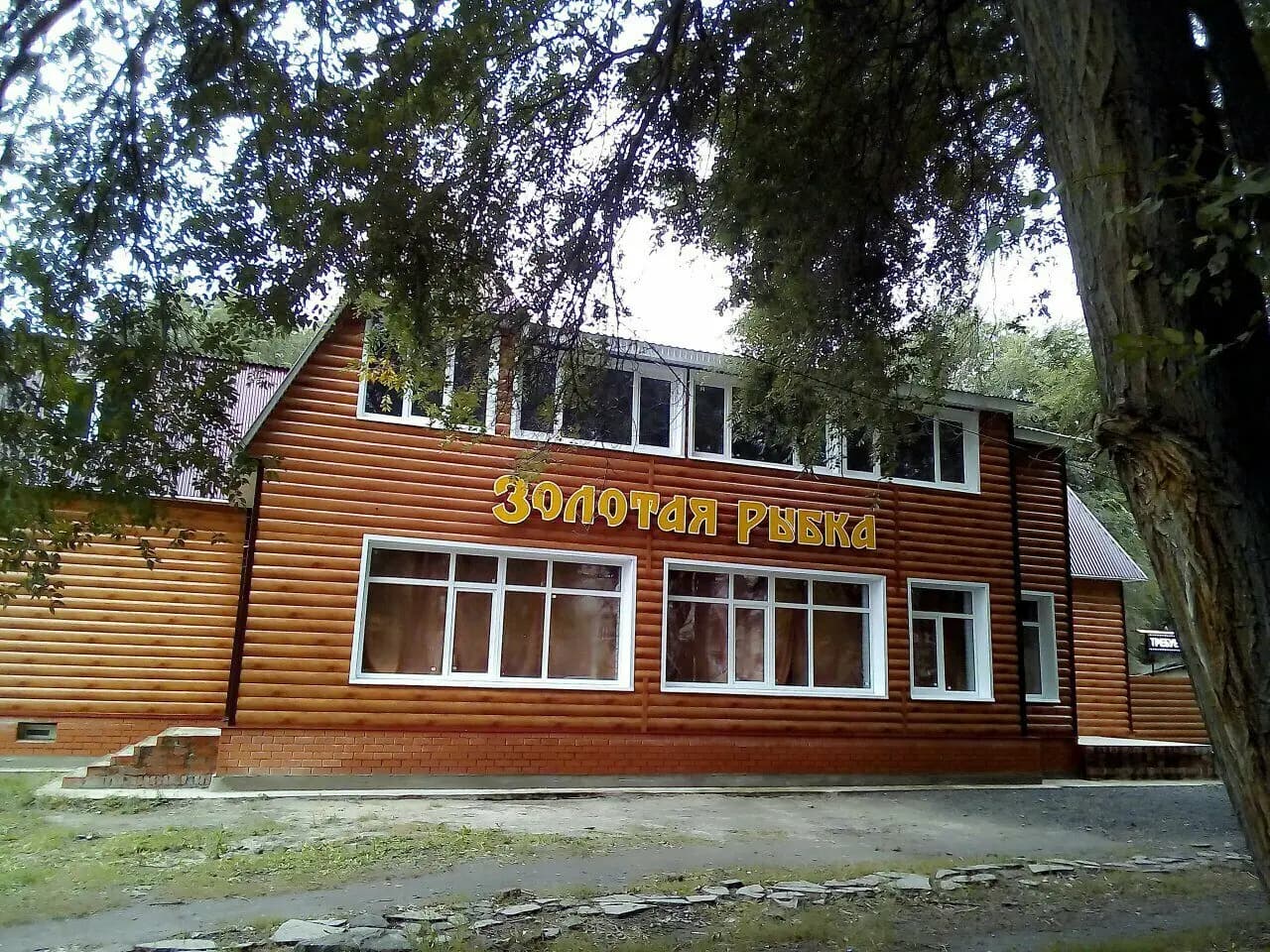 Золотая рыбка