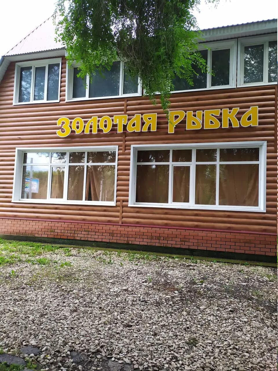 Золотая рыбка