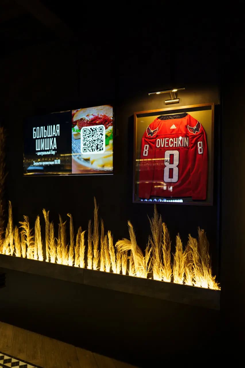 Большая Шишка Центральная