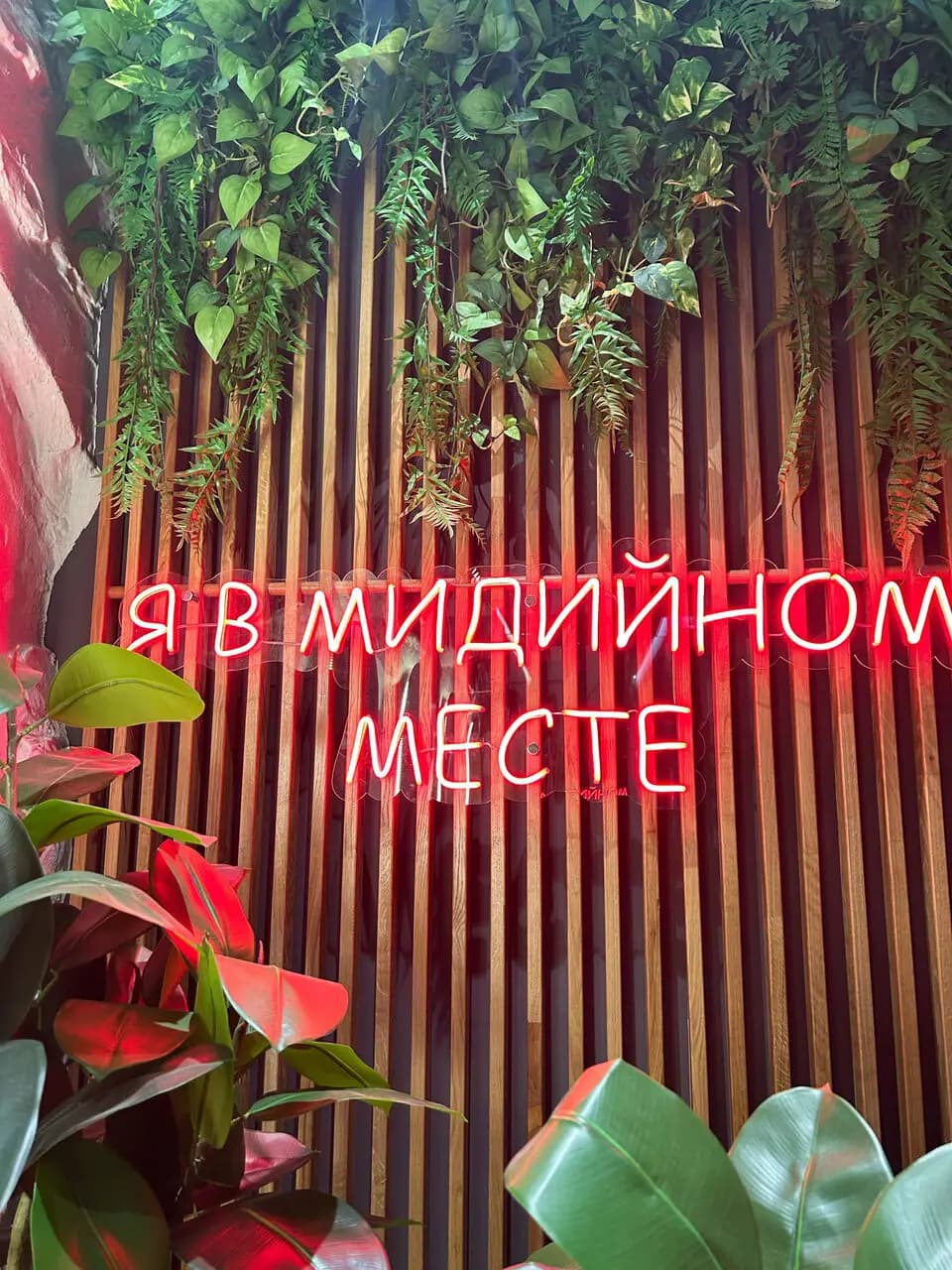 Мидийное место