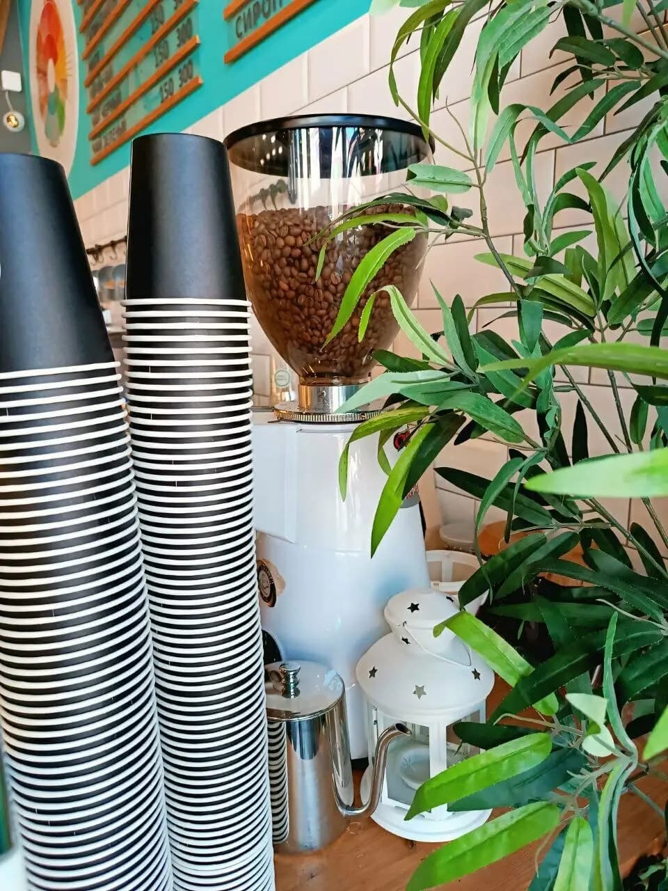 Зеленая Улица