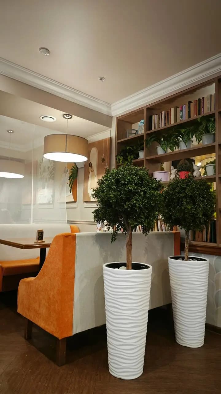 Своя компания