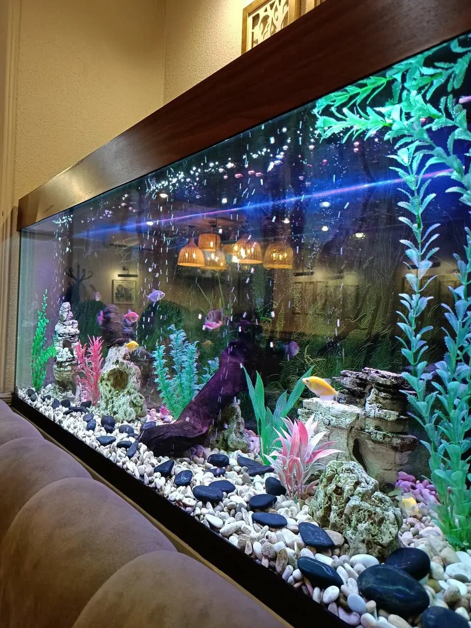 Ваня и Гоги