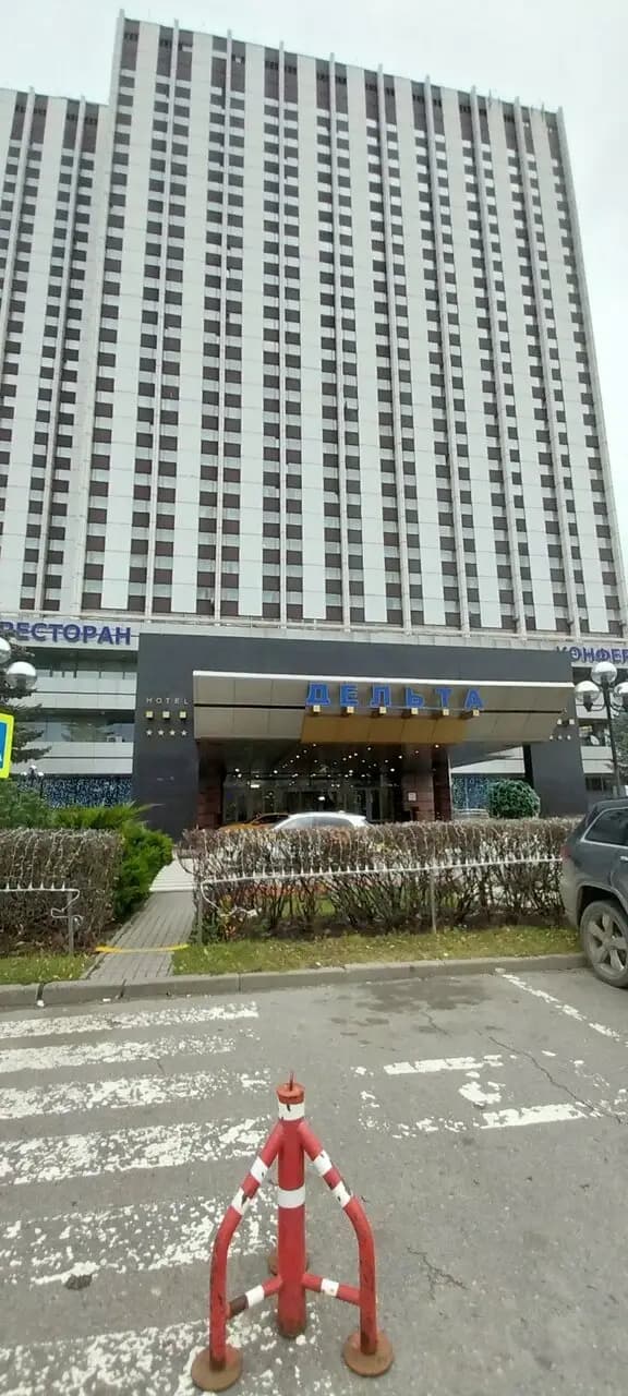 Чёрная пантера