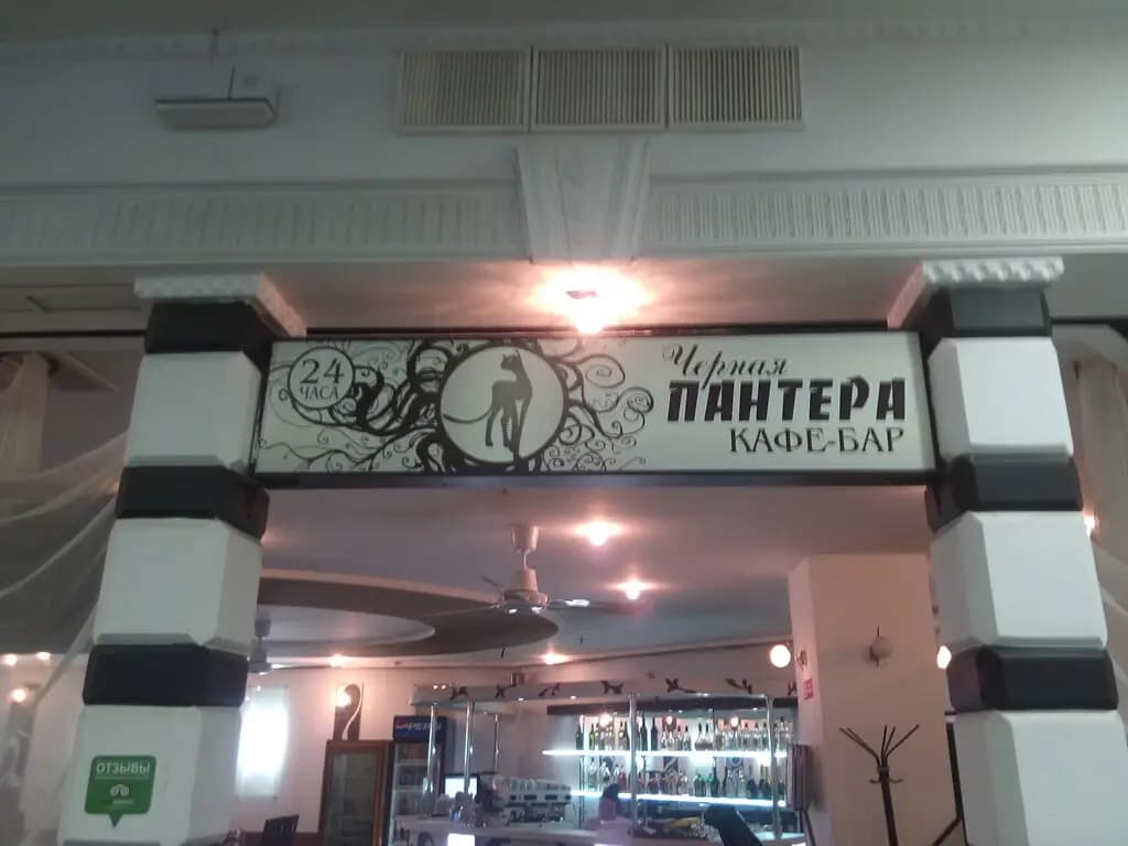 Чёрная пантера