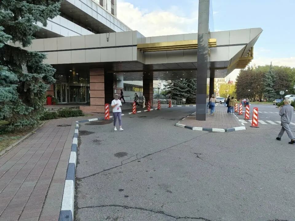 Чёрная пантера