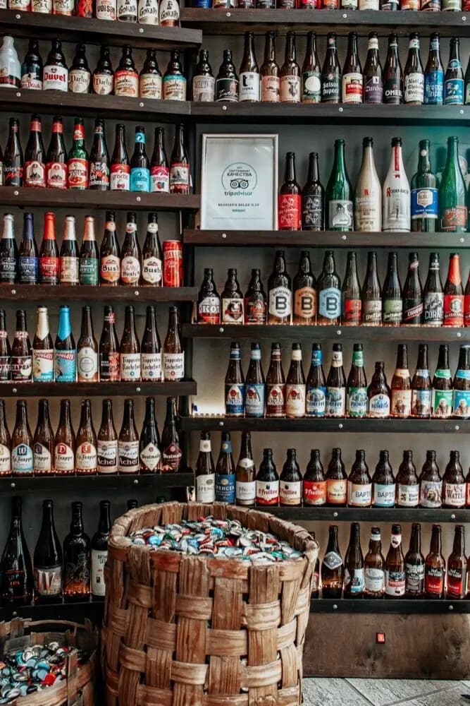 Бельгийская брассери 0.33