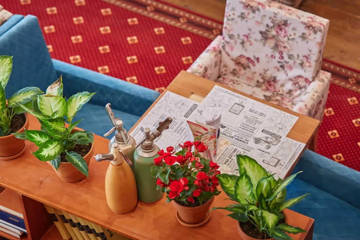 Вареничная № 1