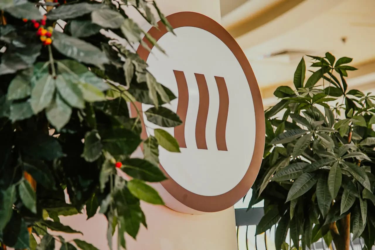 Шоколадница