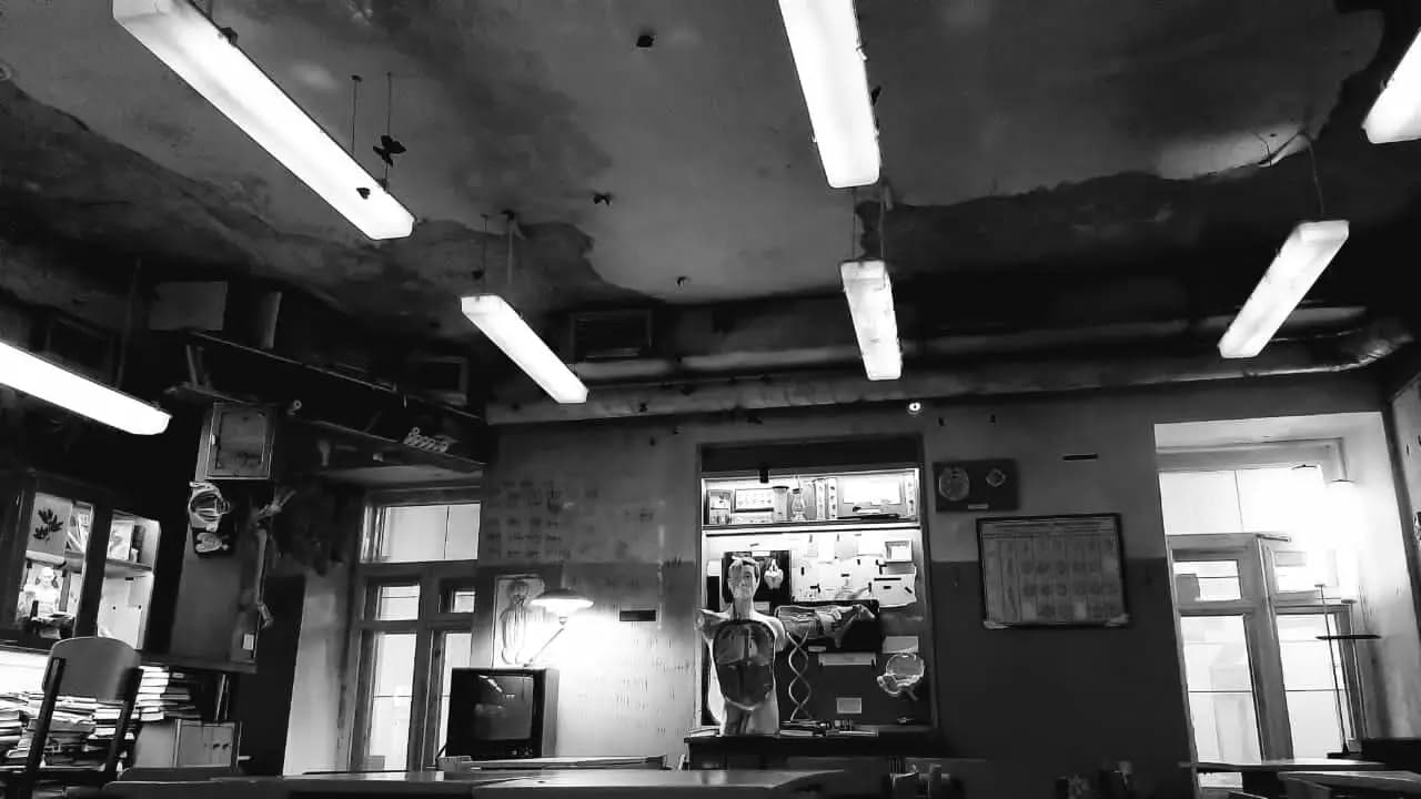 Пестики-Тычинки