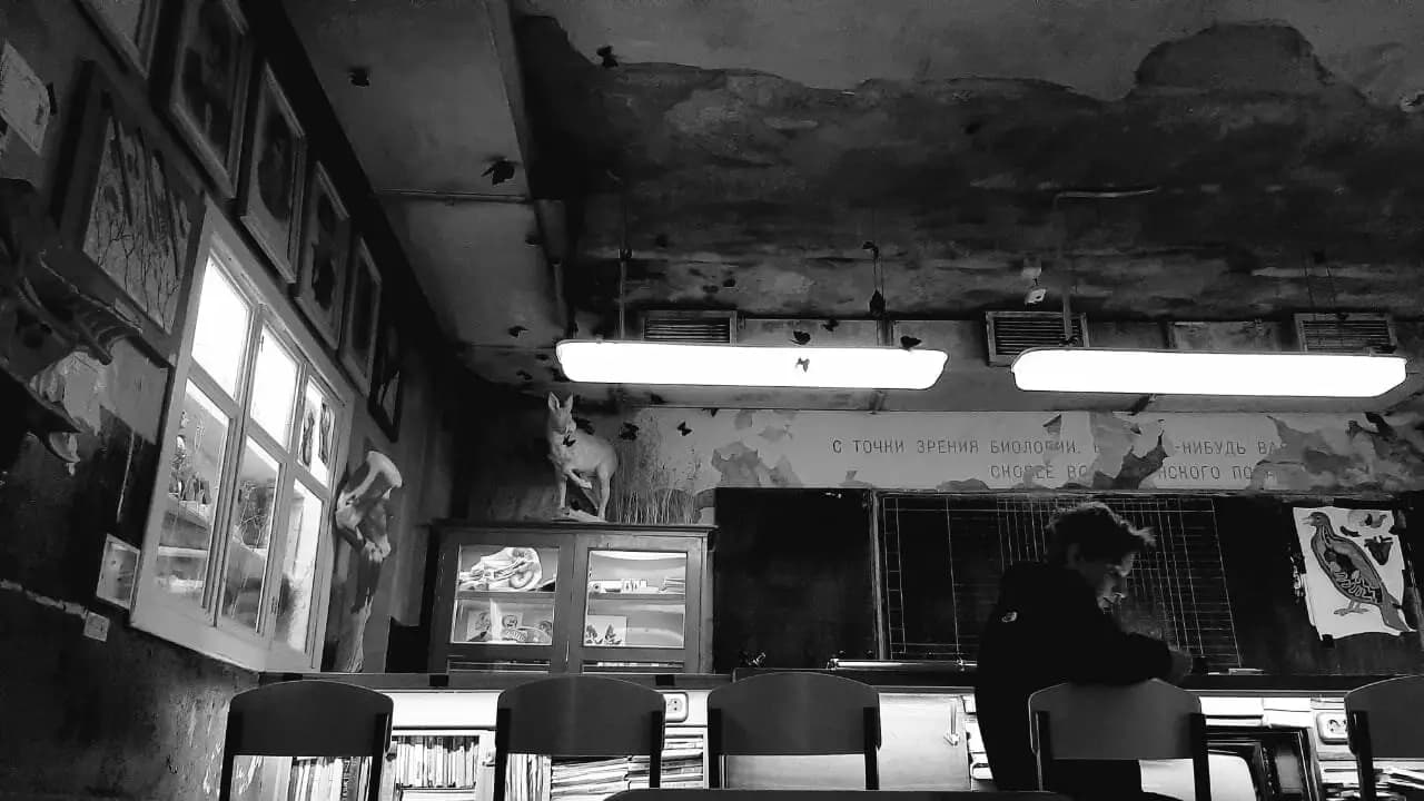 Пестики-Тычинки