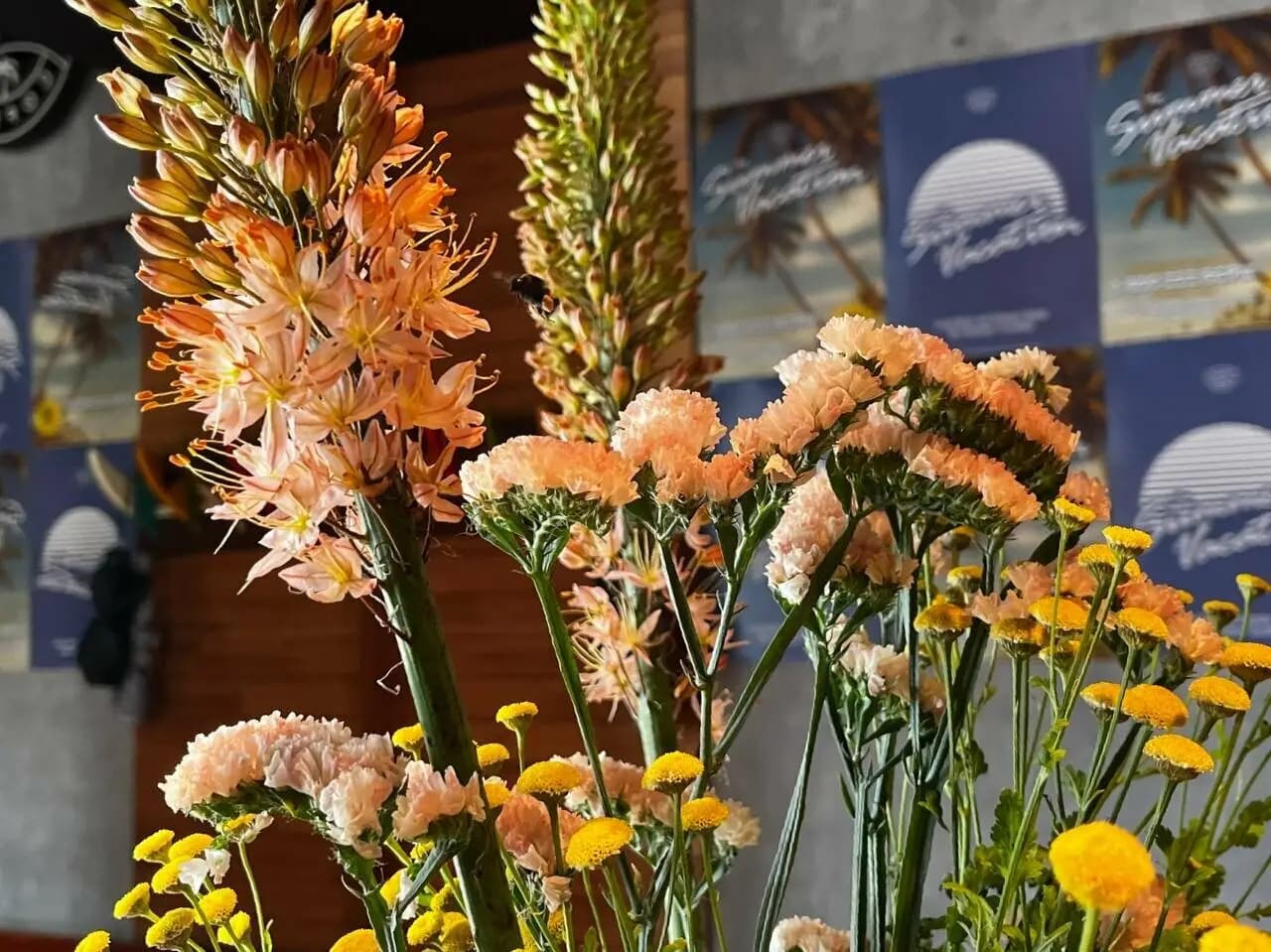 Surf Coffee X G-Spot