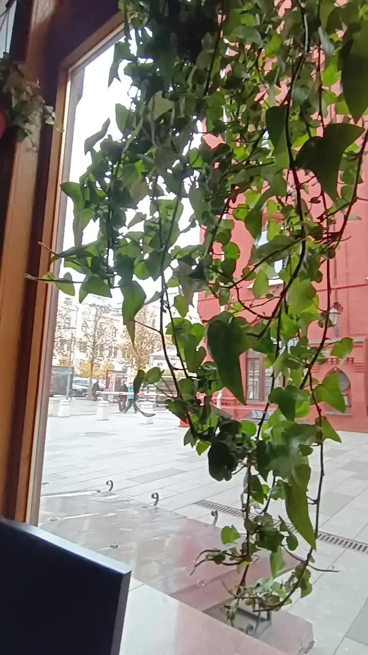 КонтрРазведка