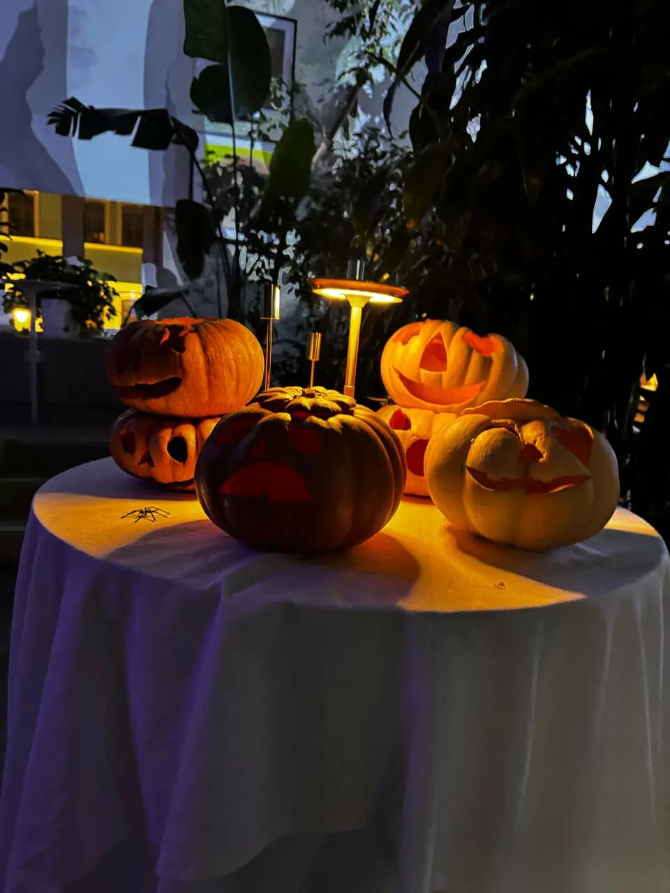 Дом Культур