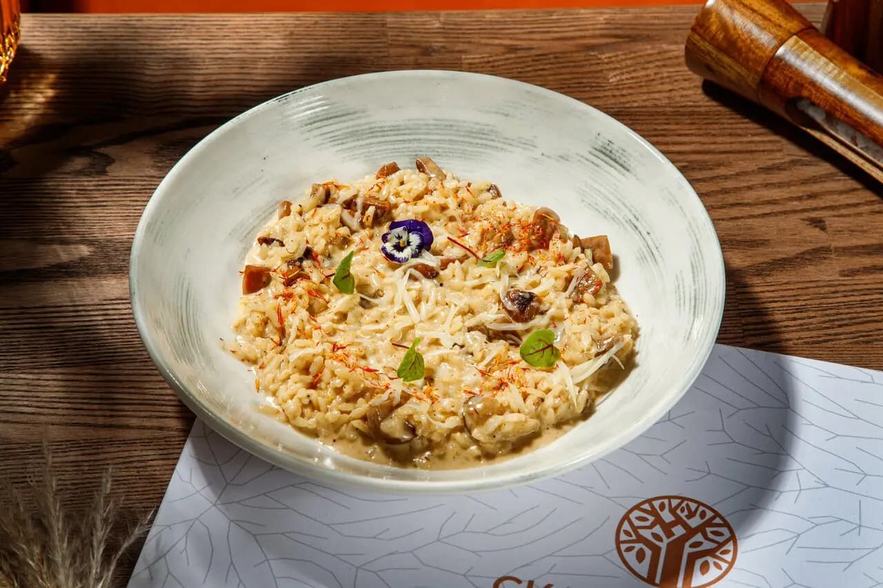 Скандилайф