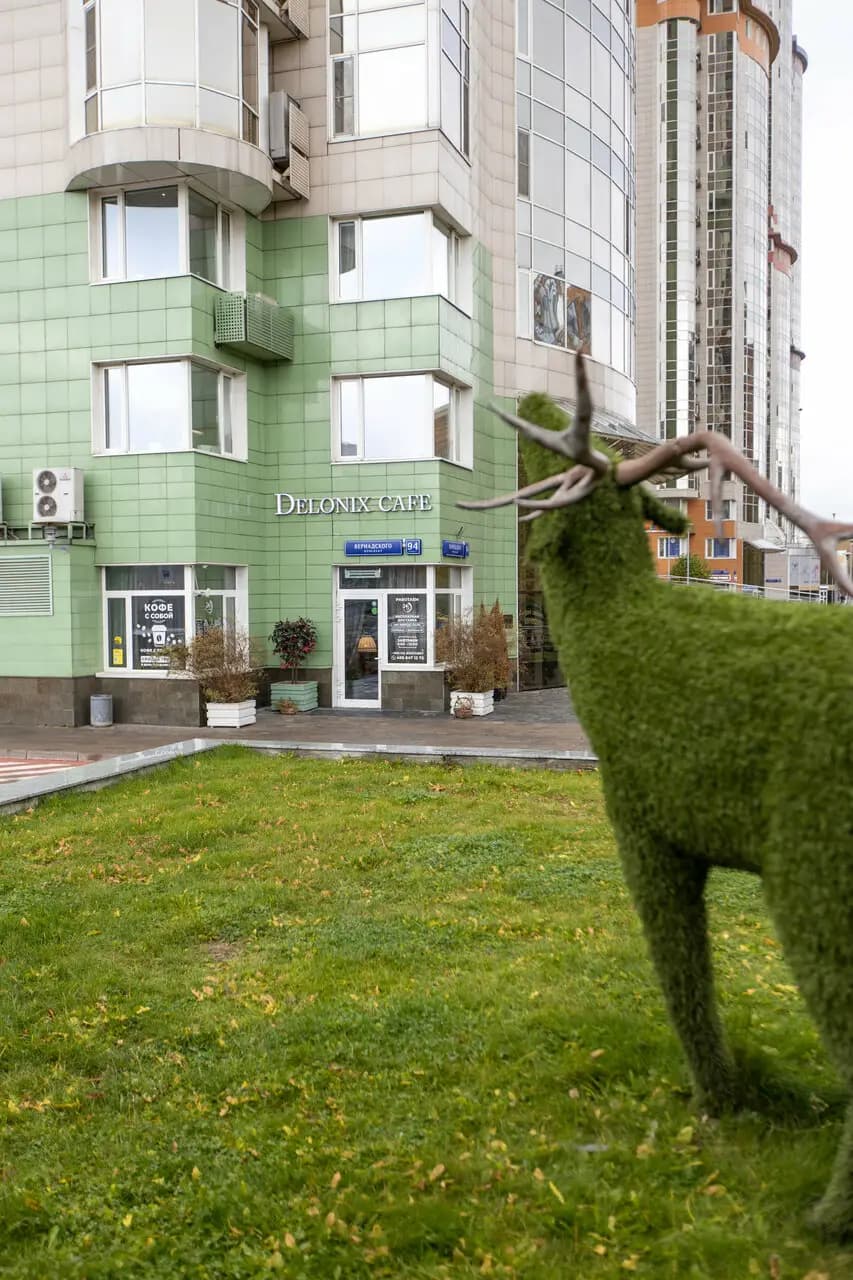 DelonixCafe