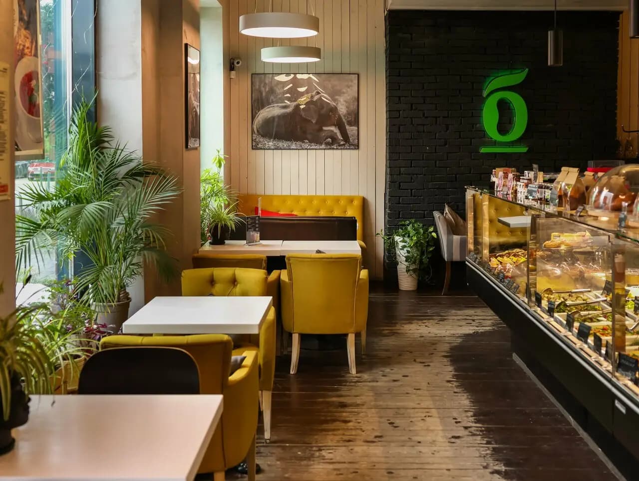 Буркина фасоль