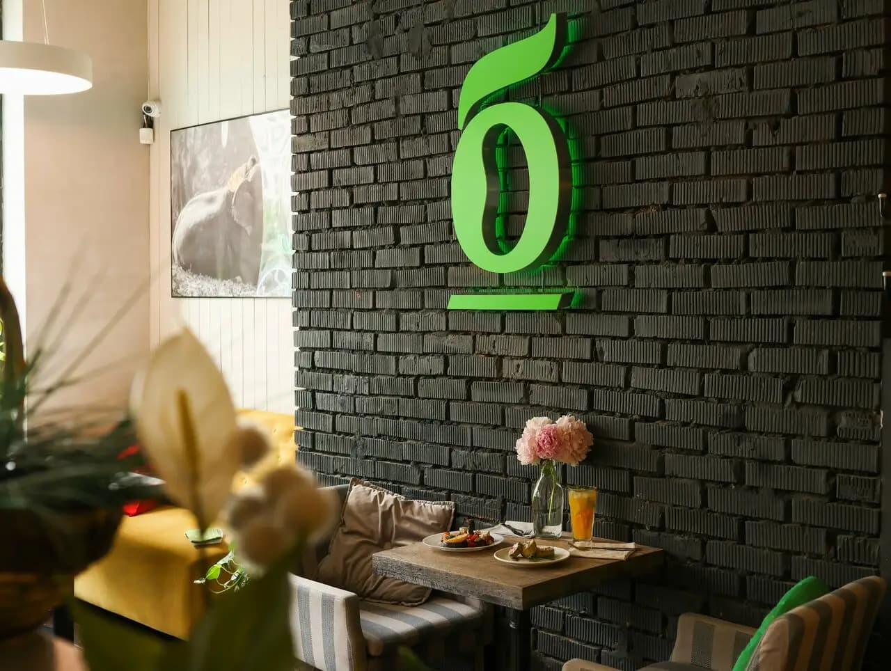 Буркина фасоль