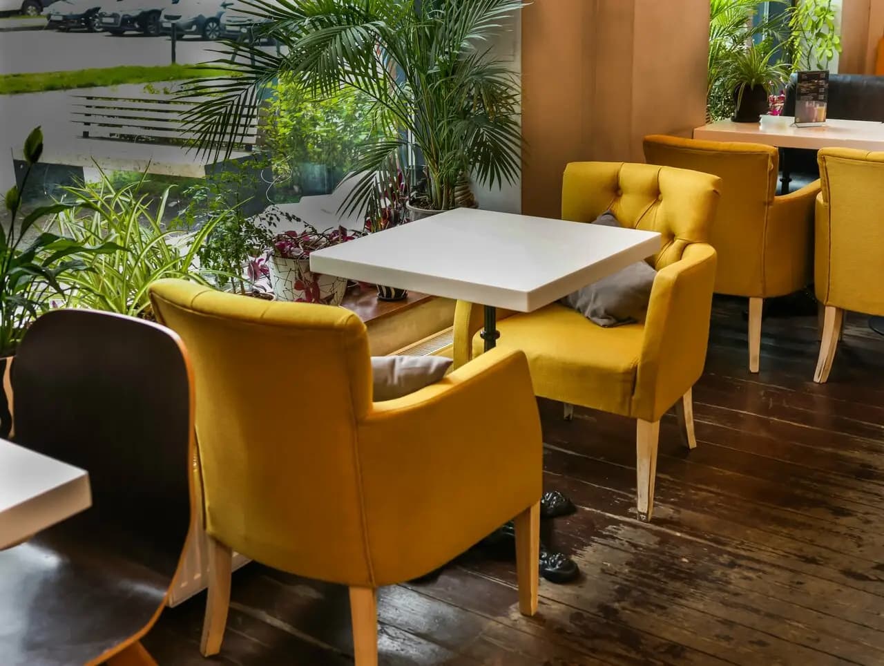 Буркина фасоль