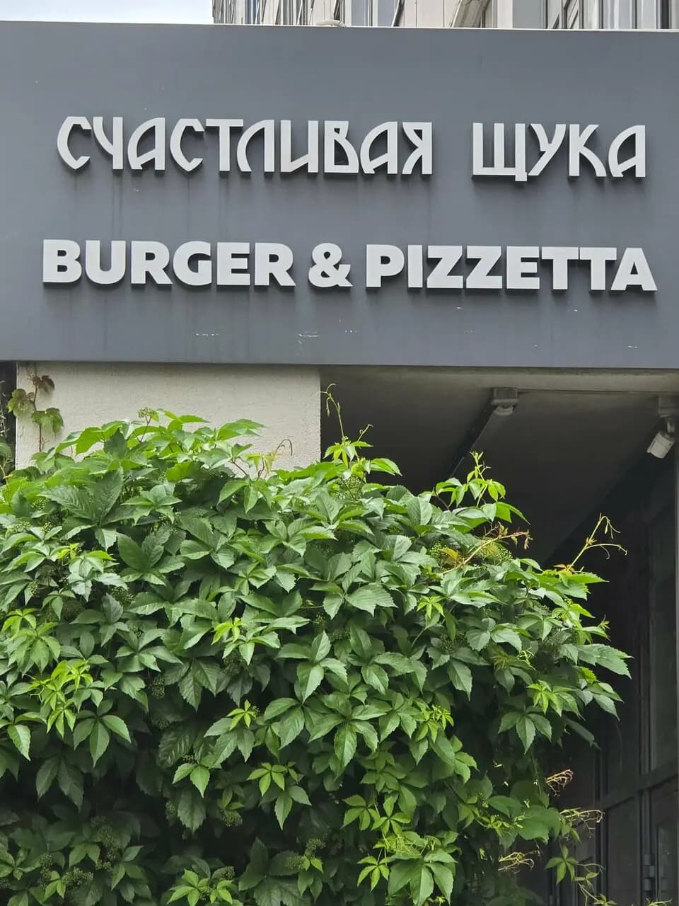 Счастливая щука