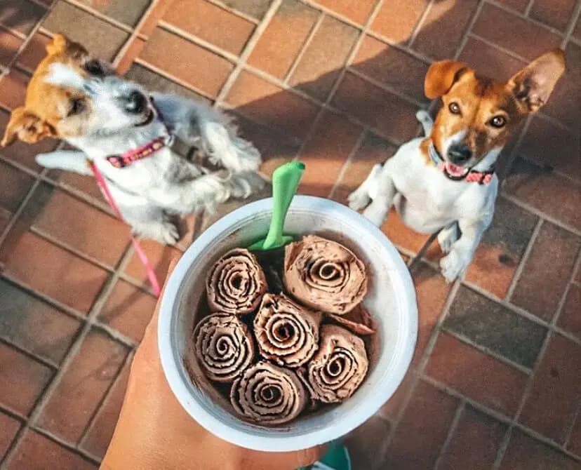 Ванильный шпатель