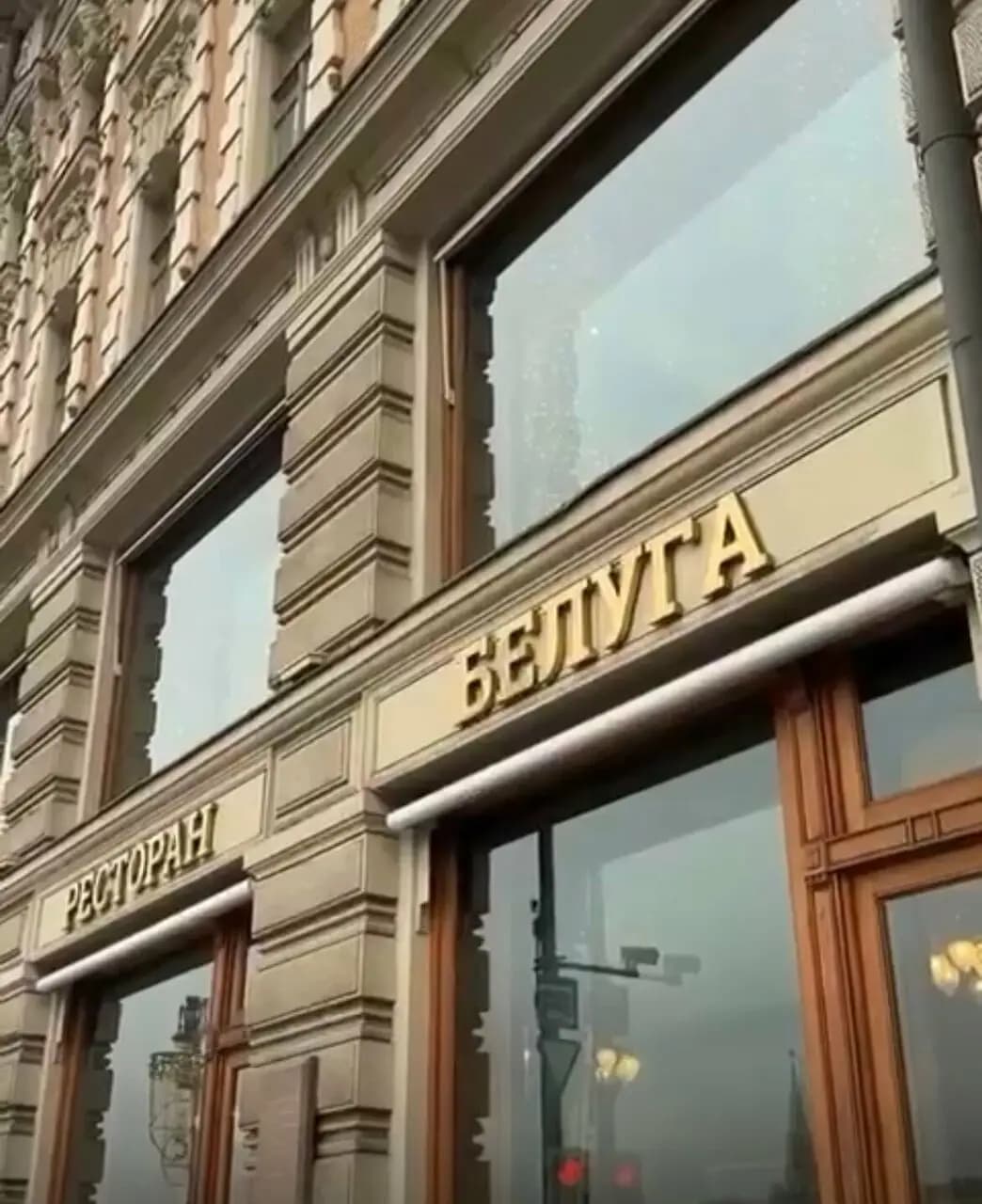 Белуга