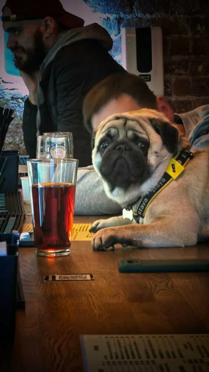 Все твои друзья