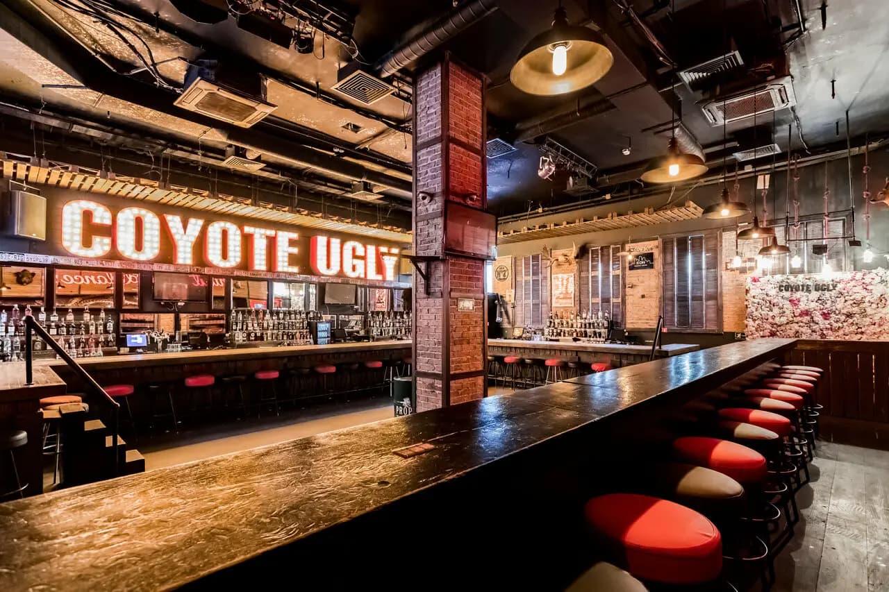 Гадкий Койот