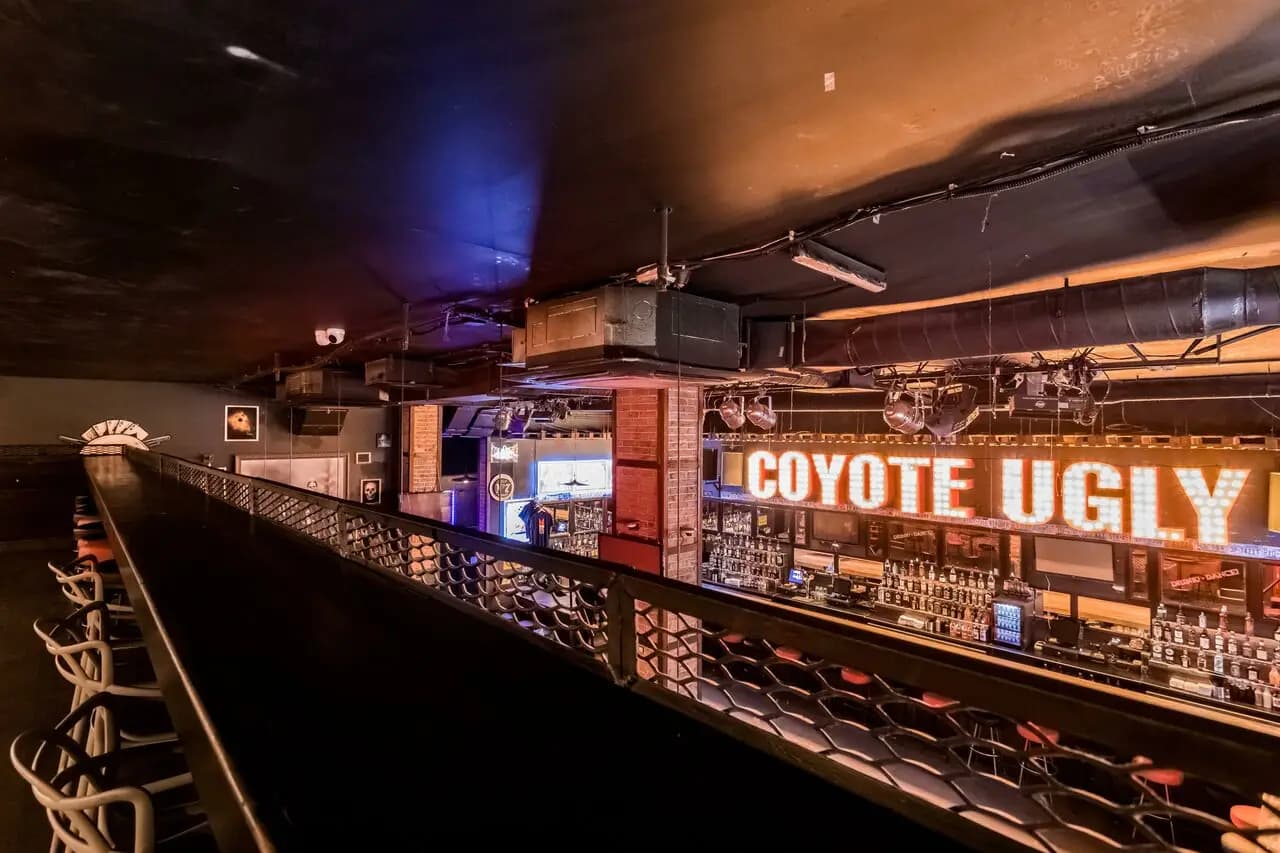 Гадкий Койот