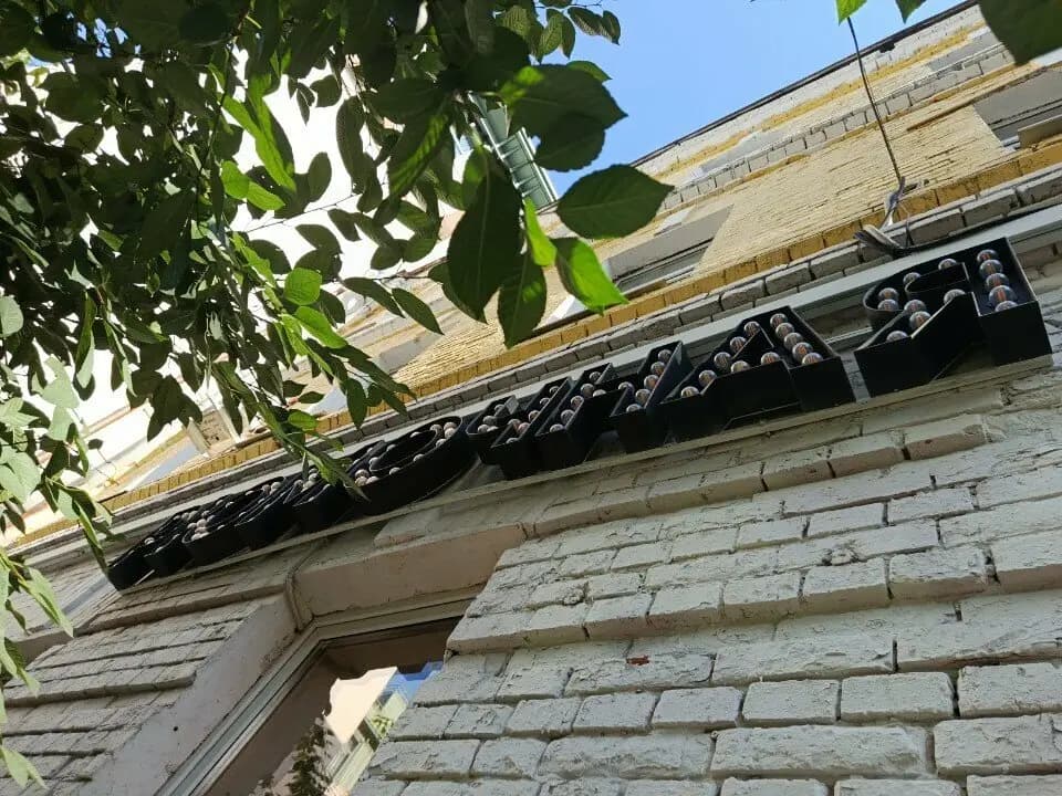 Вишнёвый сад