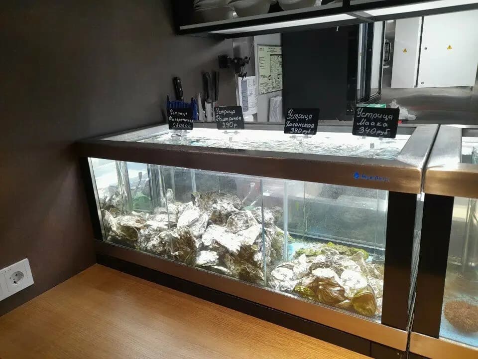 Рыбная мануфактура № 1