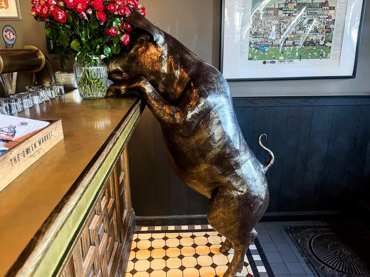 Свинья и роза