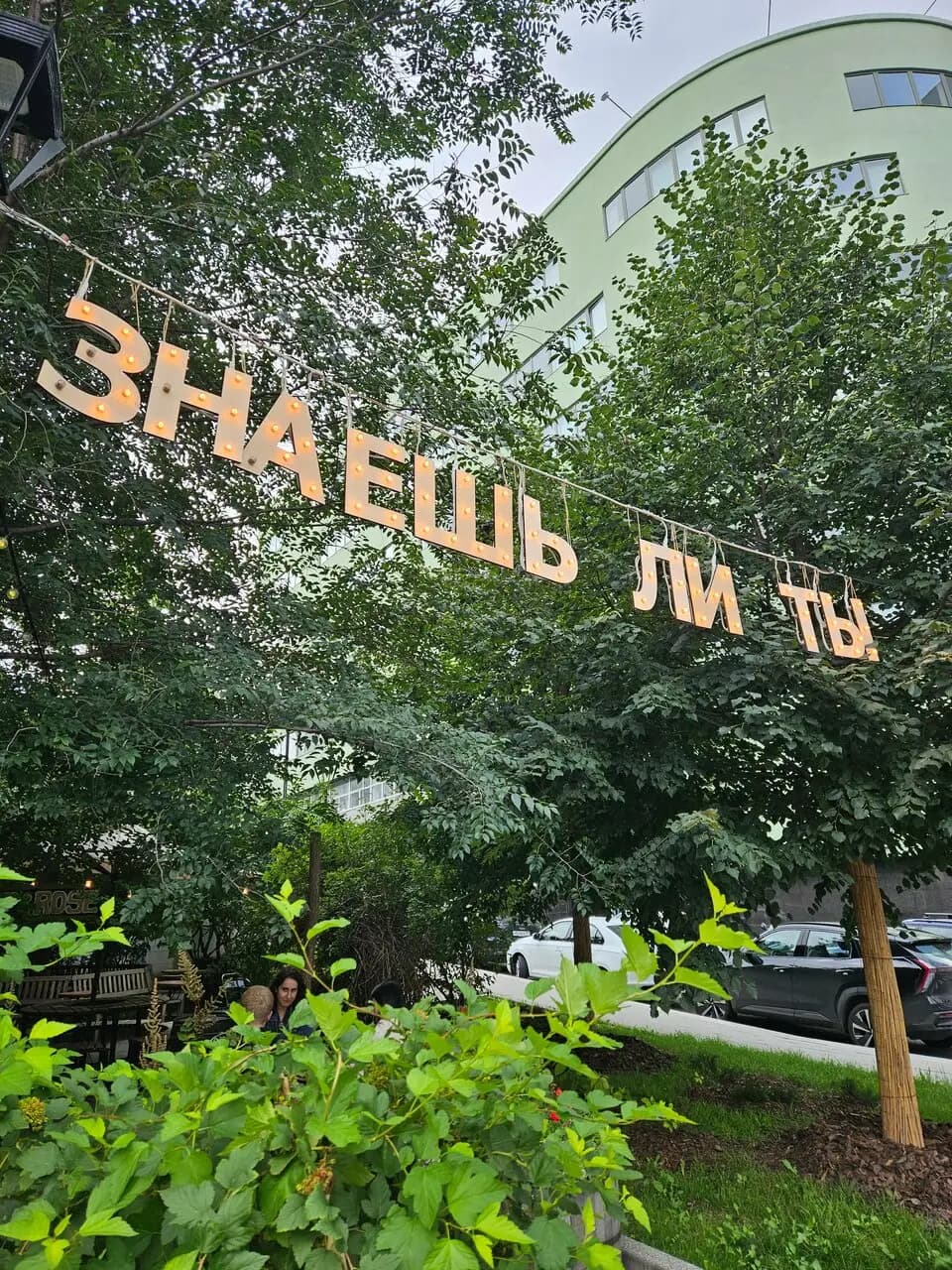 Свинья и роза