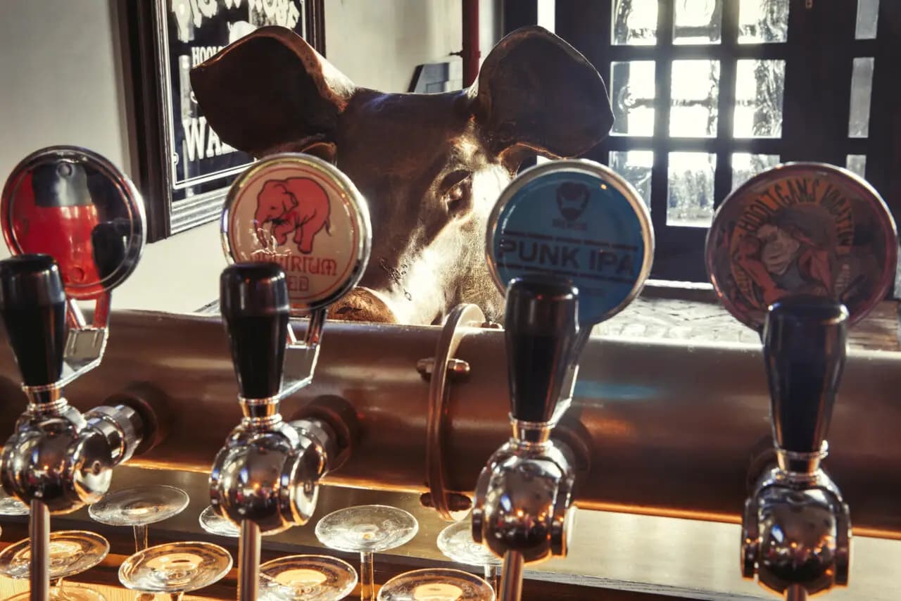 Свинья и роза